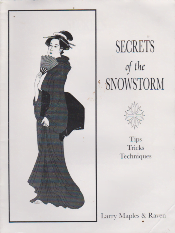 Secrets of the Snow Storm （Paperback)