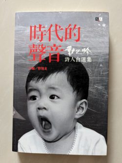 时代的声音 - 动地吟诗人自选集