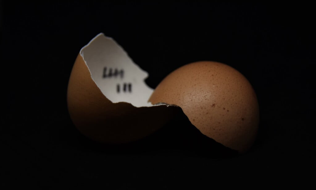 2 yellow round fruit with white heart shaped