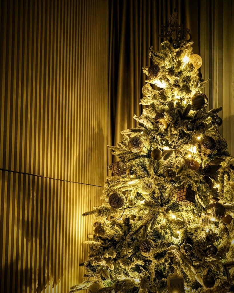 我在意的不是圣诞树