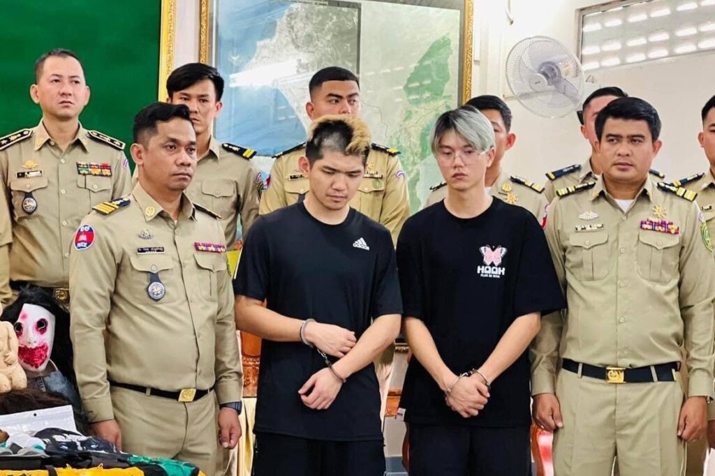 为什么有些网红会犯蠢
