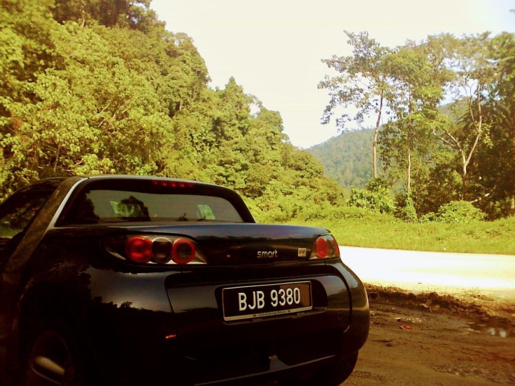 风,终究变得太大