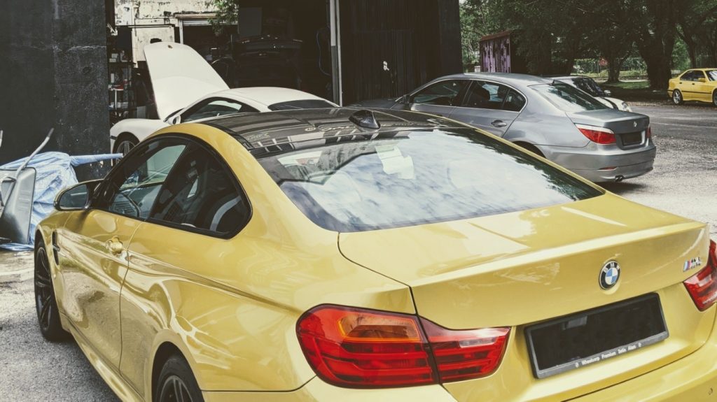 Pxl 20200921 025704887 edit 1 medium.jpg