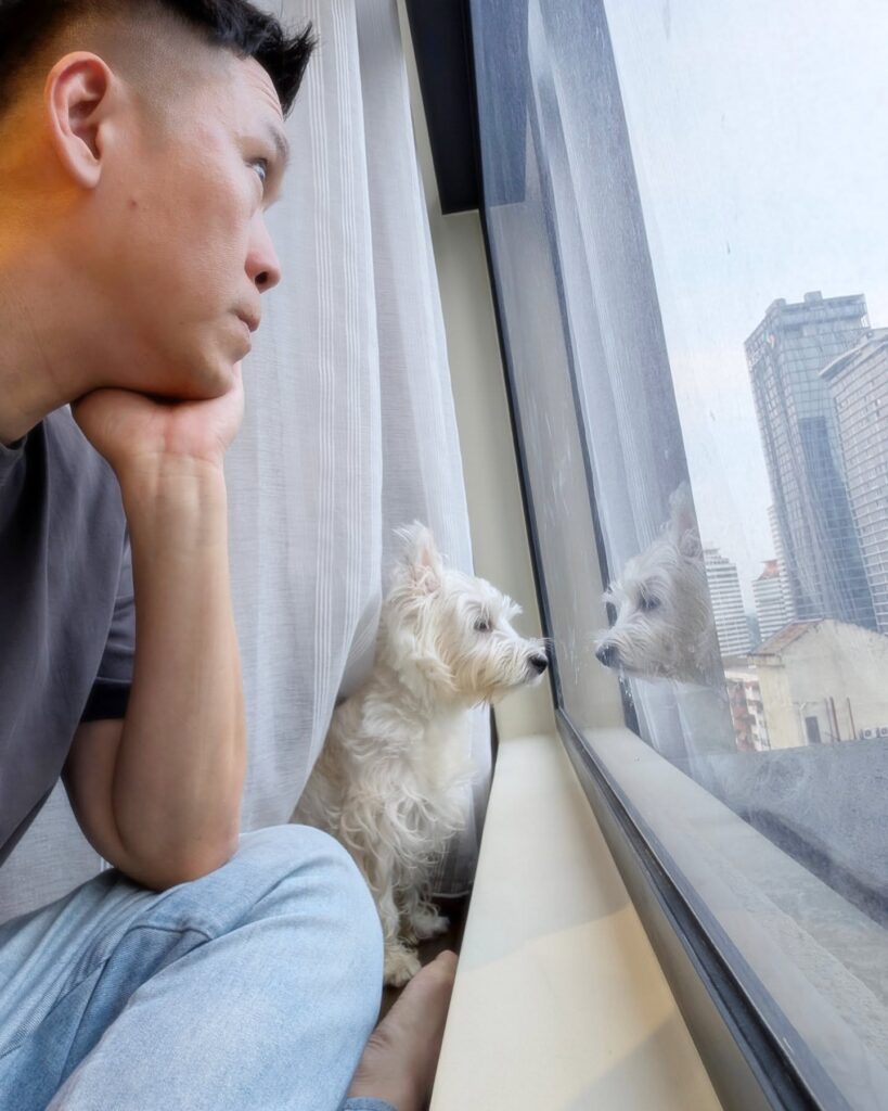 17949831740970605 jpg